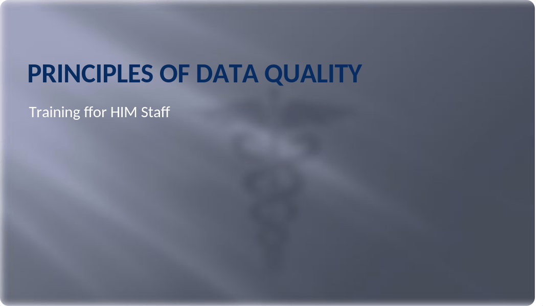 PRINCIPLES OF DATA QUALITY.pptx_dv34mq92pb6_page1