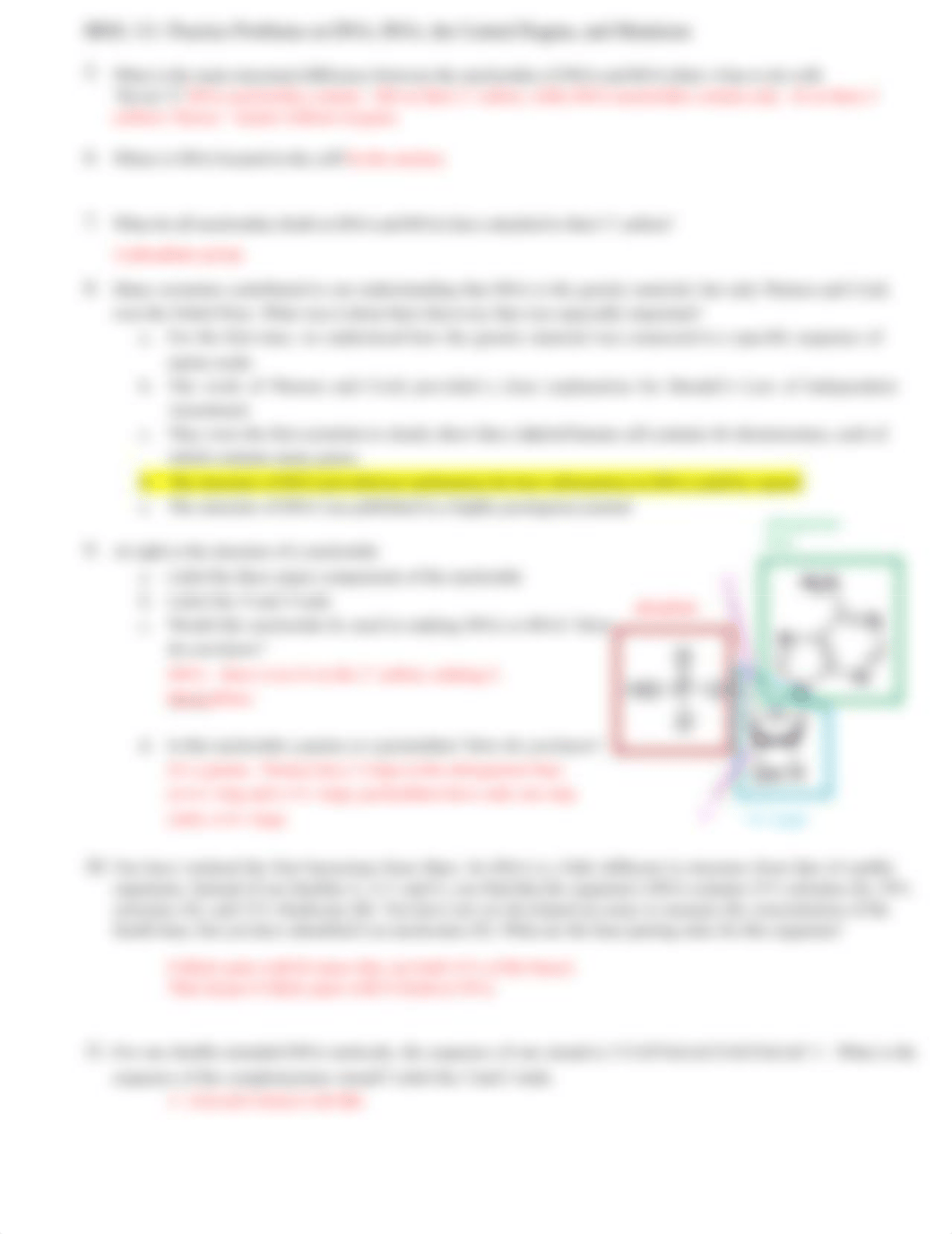 3 DNA, RNA,the Central Dogma, and Mutations KEY(1) (1).docx_dv380cxq5zx_page2