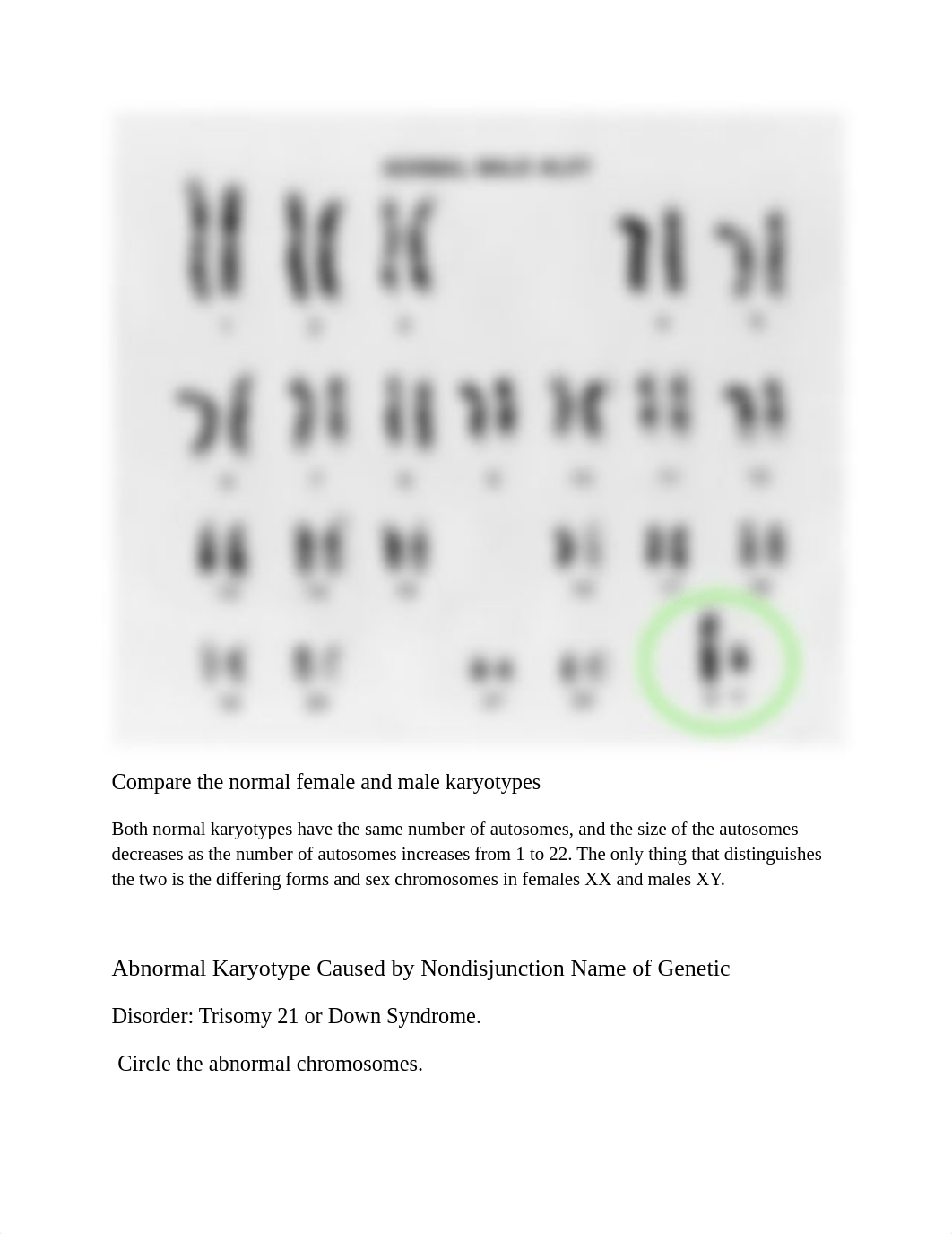 Normal Female Karyotype.pdf_dv39qr6q7cr_page2