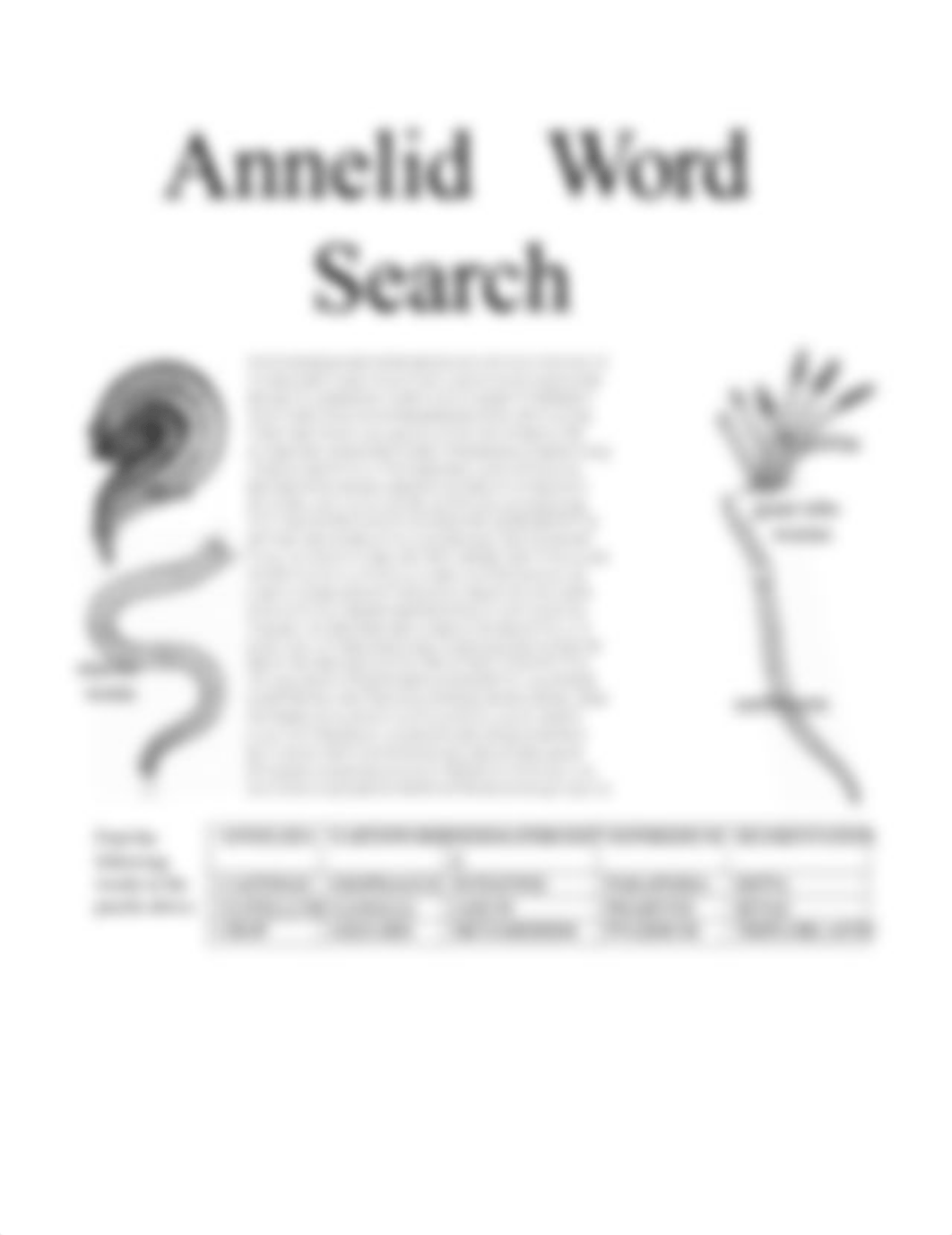 7 _ Annelid Vocab.docx_dv3a0fxayn9_page2