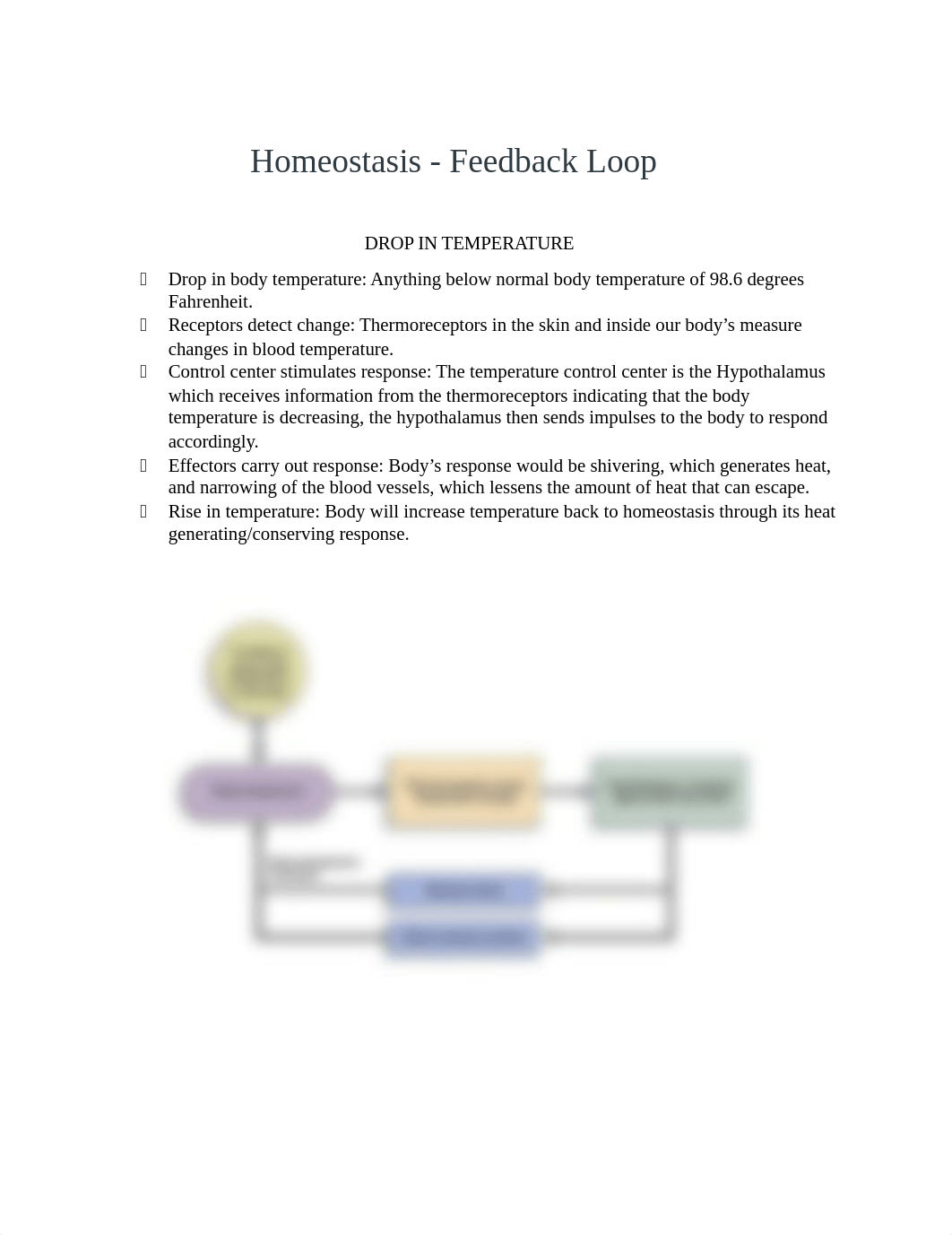 Hemostasis feedback loop.docx_dv3au45qqg3_page1