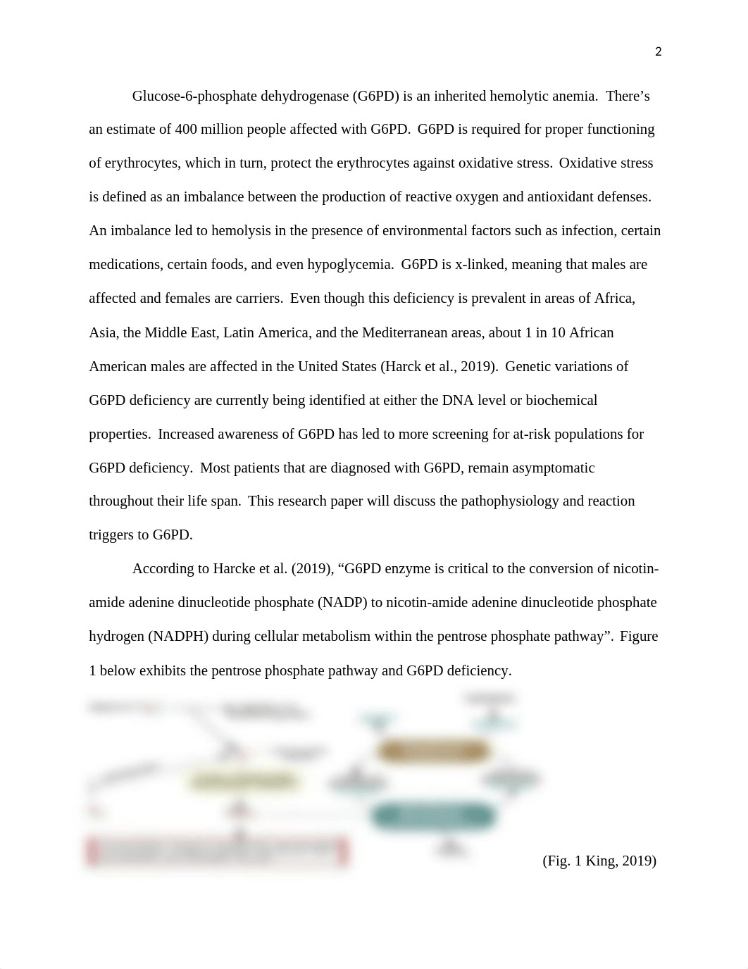 G6PD.docx_dv3gqy6muco_page2