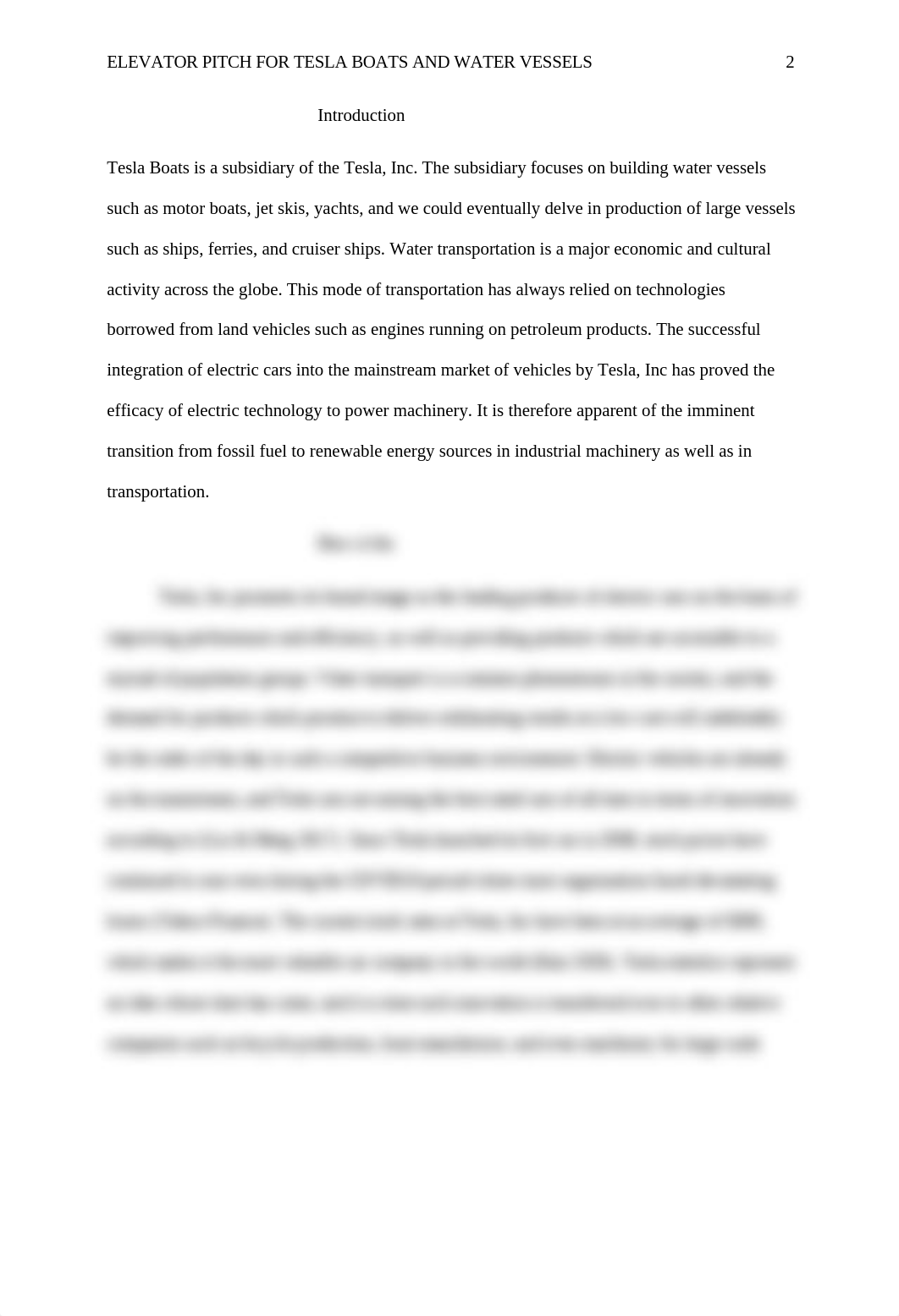 BUS400 3-2 ELEVATOR PITCH FOR TESLA BOATS AND WATER VESSELS rev.docx_dv3iildpa66_page2