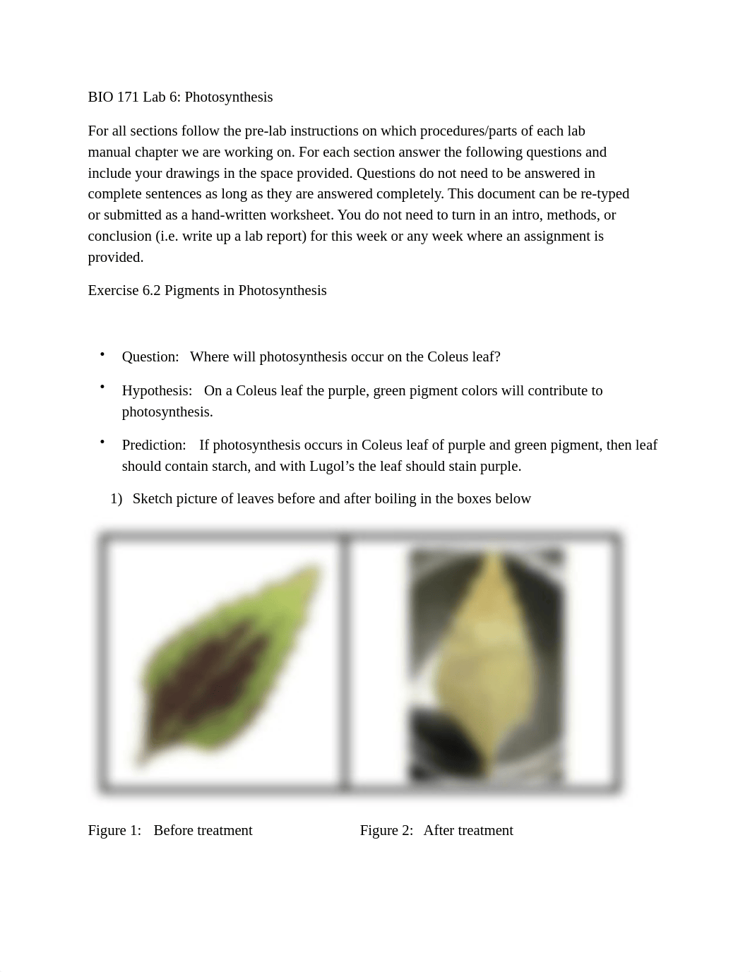 BIO 171 L 6 Photosynthesis.pdf_dv3isx85fqu_page1