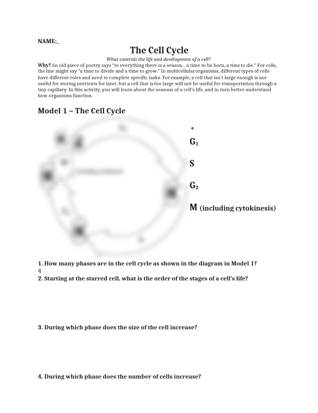 Copy of Cell Cycle MODEL_dv3ldquz3ma_page1