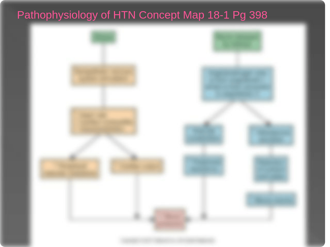 LPN 132 Chapter 18 Student.pptx_dv3ui24hq16_page5