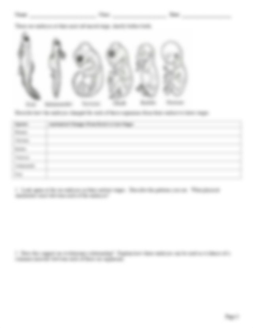 Olivia_Reeves_-_-Evidence-of-Evolution-Worksheet.pdf_dv4171c76wn_page3