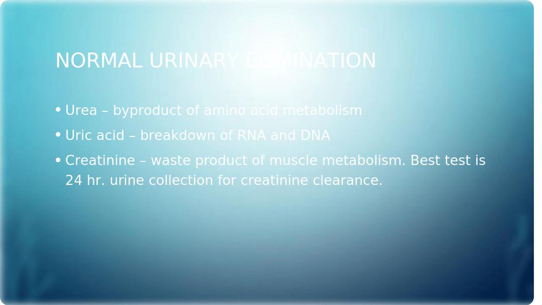 Chapter 31 Urinary Elimination and Care.pptx_dv417nnbw3i_page3