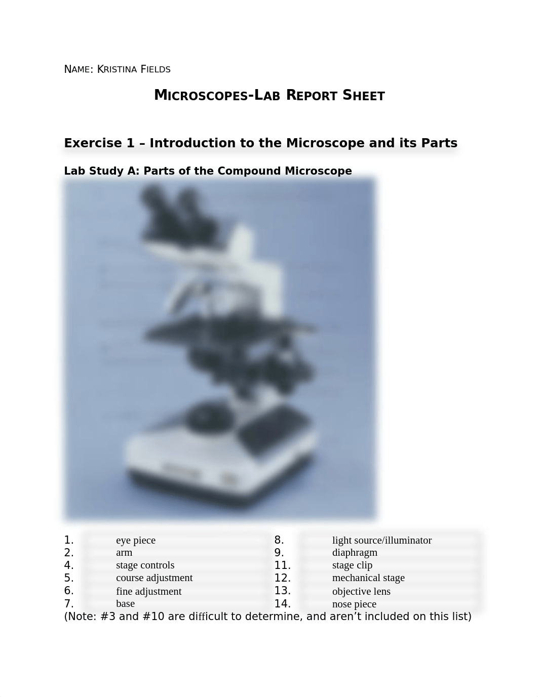 Lab5Report1.docx_dv47o8hyzg2_page1