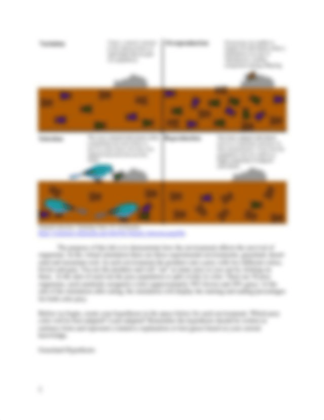 ENVNaturalSelectionLabFa23online.docx_dv48hej5849_page2