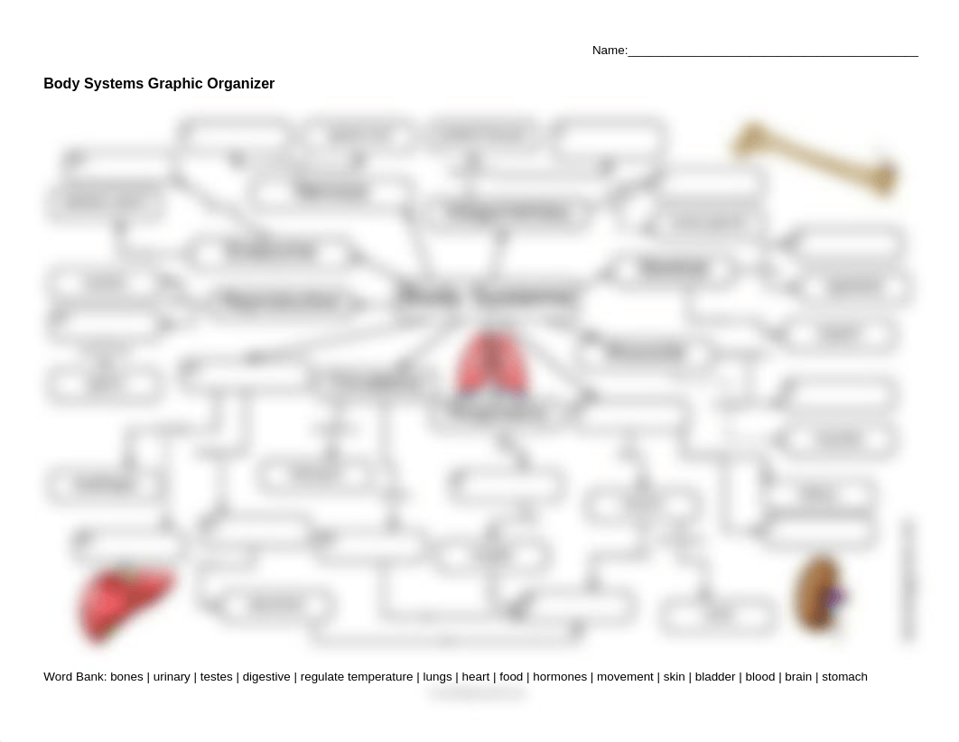 Body Systems MAP.docx_dv4du73a9lh_page1