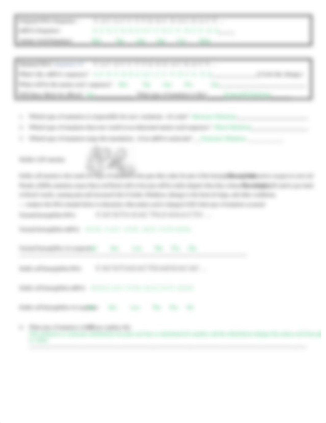 Mutation Worksheet.doc_dv4e29tw9r7_page2