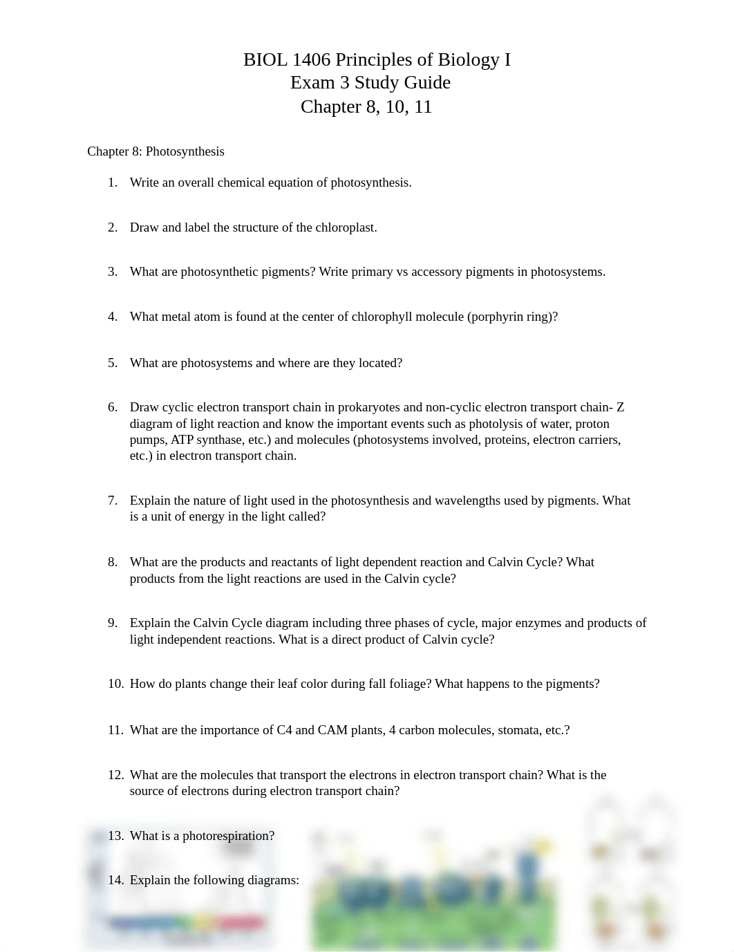 BIOL1406 Exam 3-Study Guide.docx_dv4iws55baa_page1