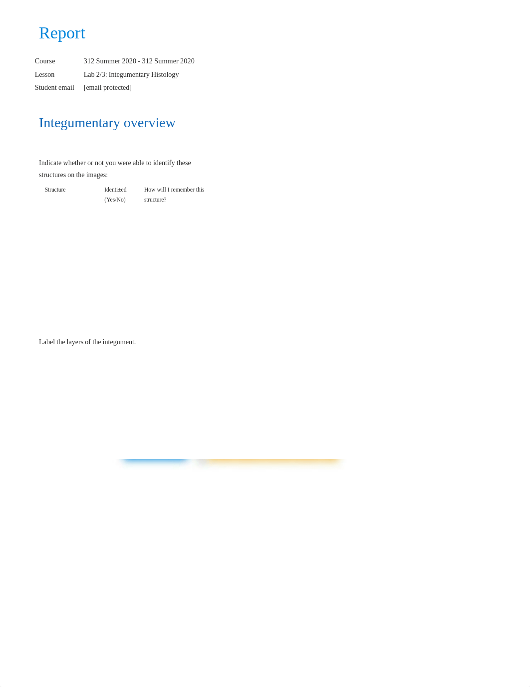 Lab 2_3_ Integumentary Histology report.pdf_dv4kwh8f6ff_page1