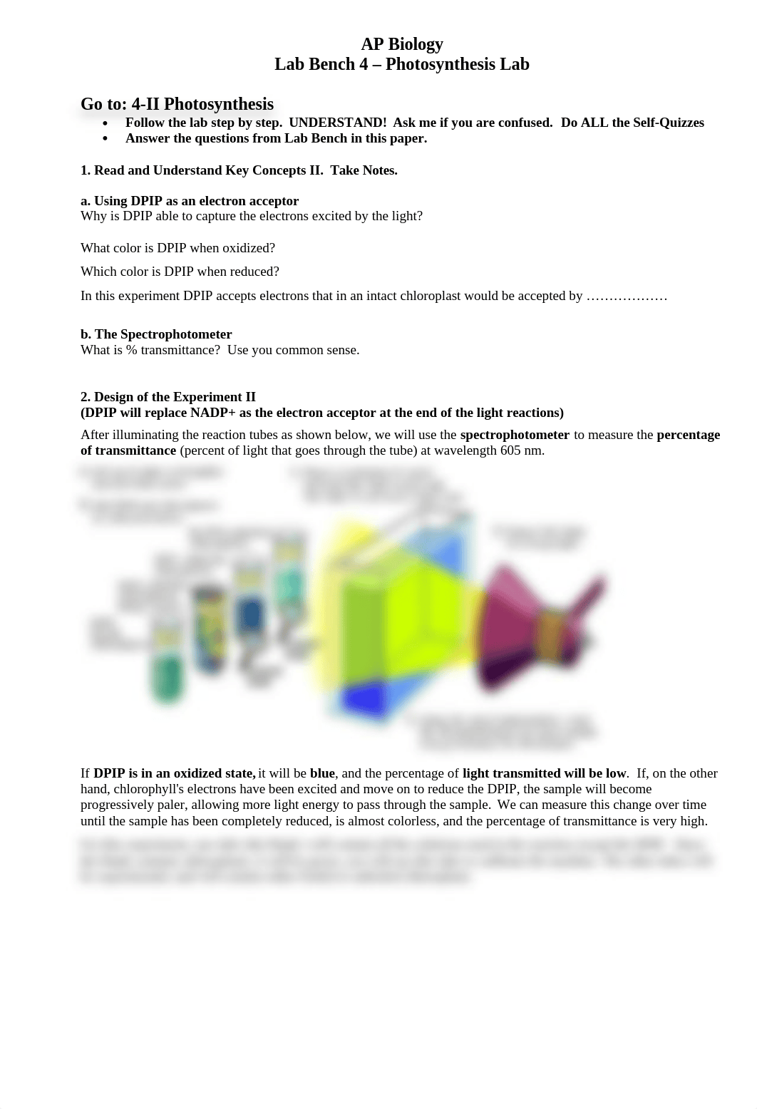 AP Biology Lab Bench 4_dv4ptmfgrl6_page1