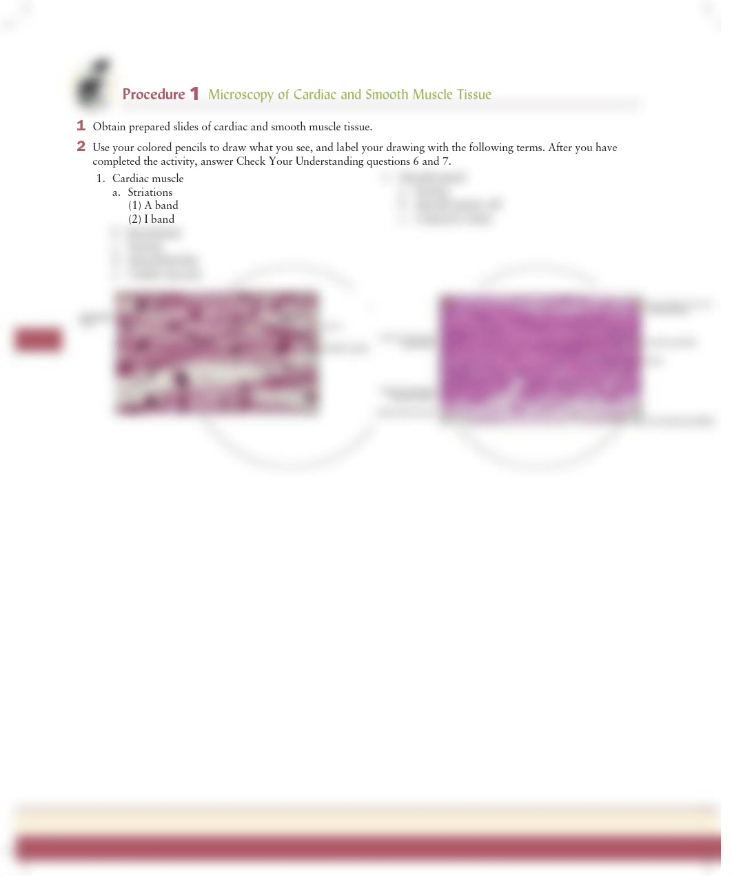 Unit 11 Exercise 11-3 Procedure 1 (2).pdf_dv4svxcz9im_page1