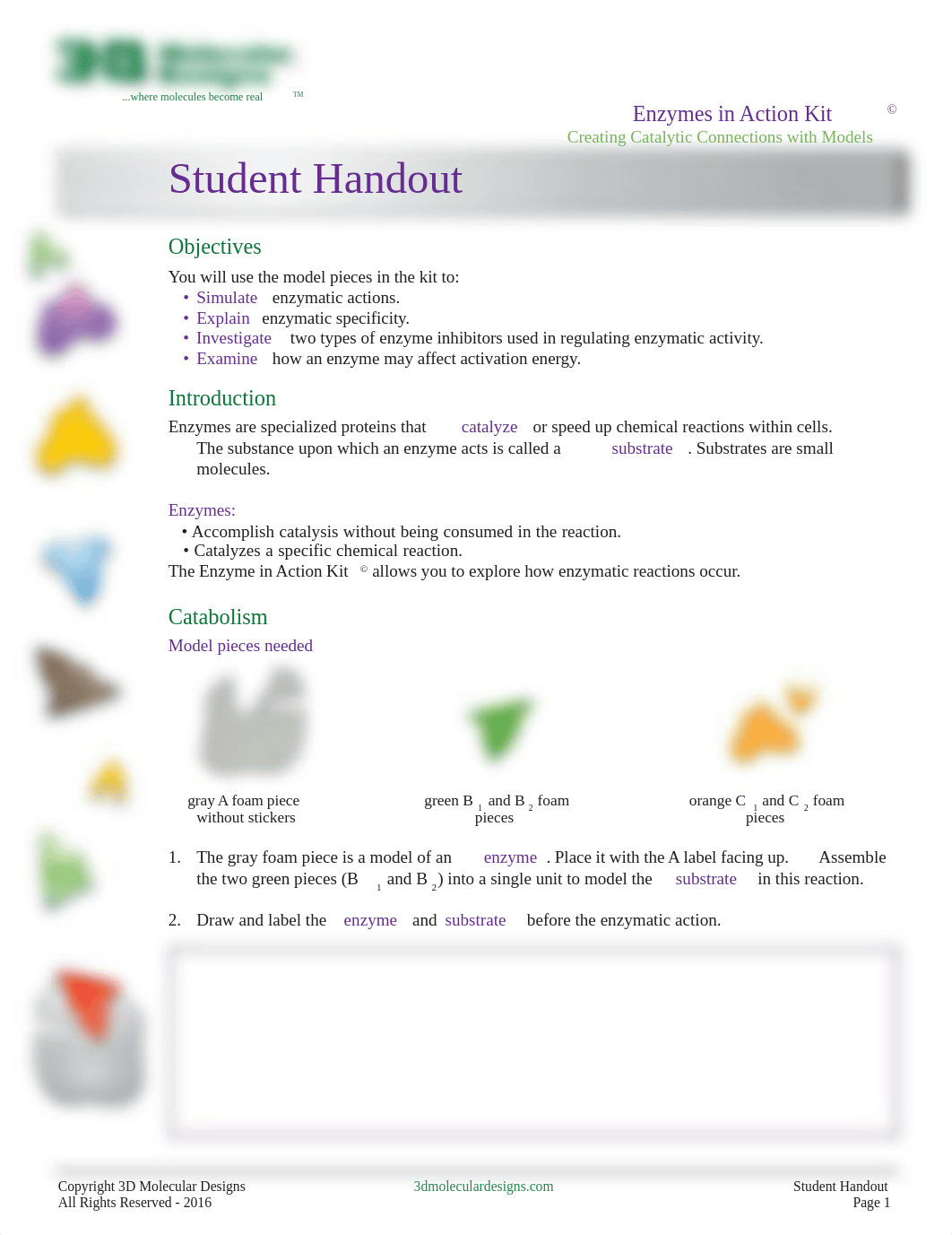 EnzymeStudentHandout_forWeb1 (1)-1.pdf_dv4szhosgp5_page1