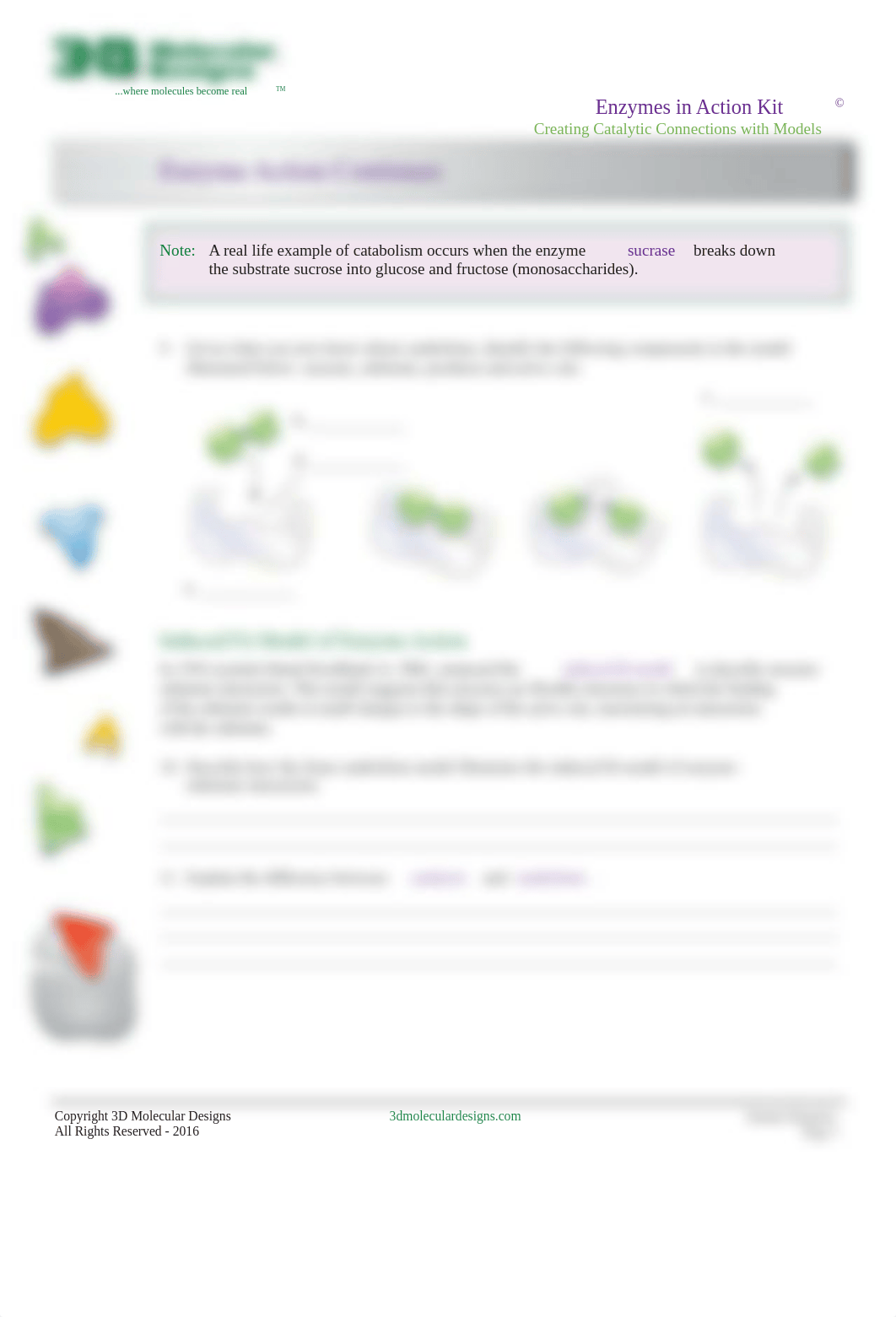 EnzymeStudentHandout_forWeb1 (1)-1.pdf_dv4szhosgp5_page3