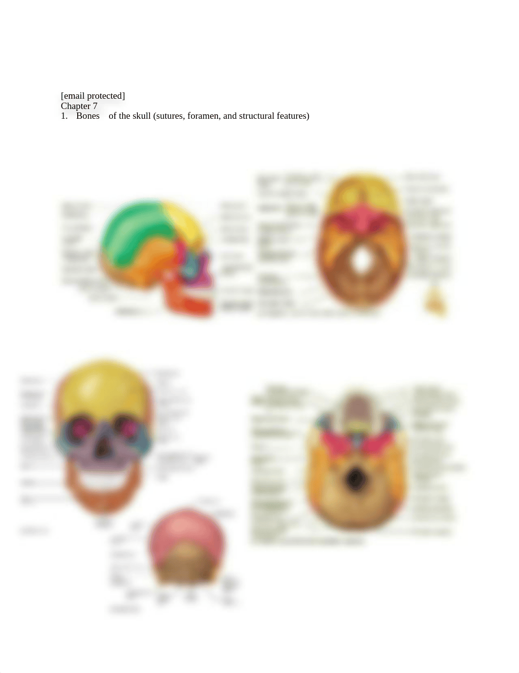 Test 4 Anatomy.pdf_dv4uspxq29d_page1