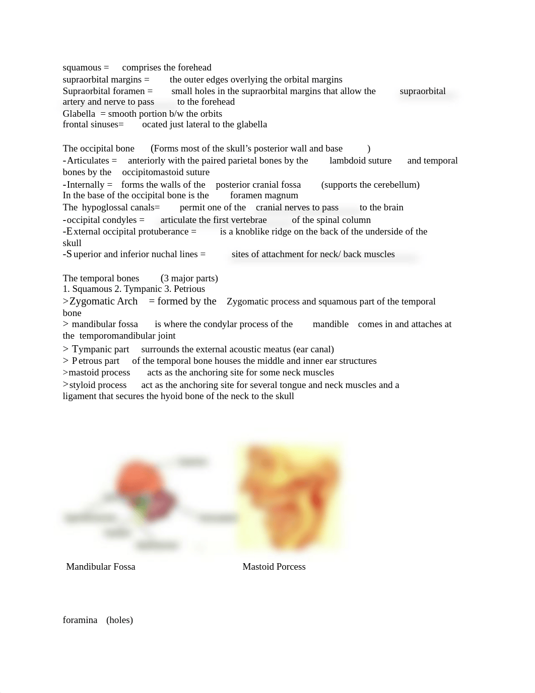 Test 4 Anatomy.pdf_dv4uspxq29d_page3