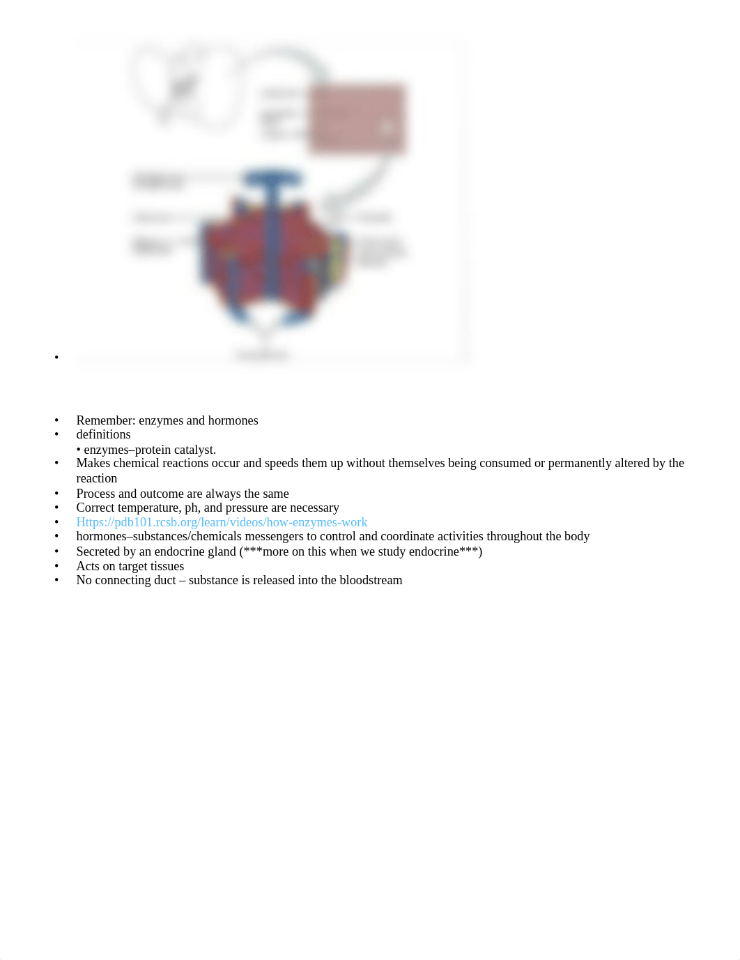 CH.58,59 GI Liver, Biliary System, Pancreas.docx_dv57wn0qft5_page3