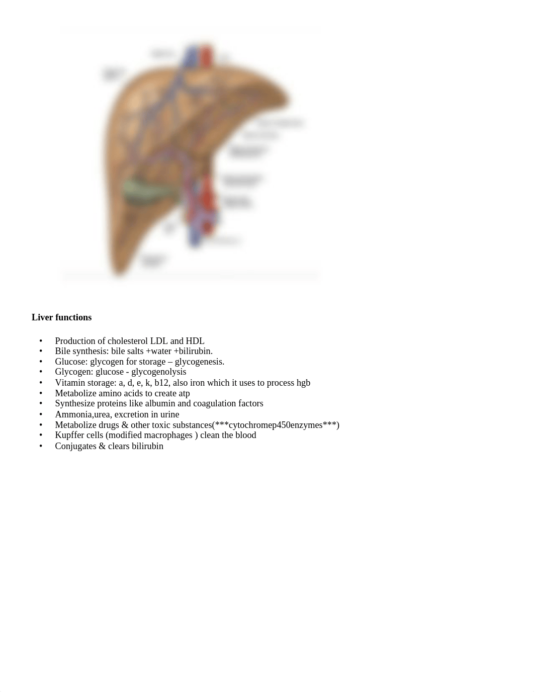 CH.58,59 GI Liver, Biliary System, Pancreas.docx_dv57wn0qft5_page2