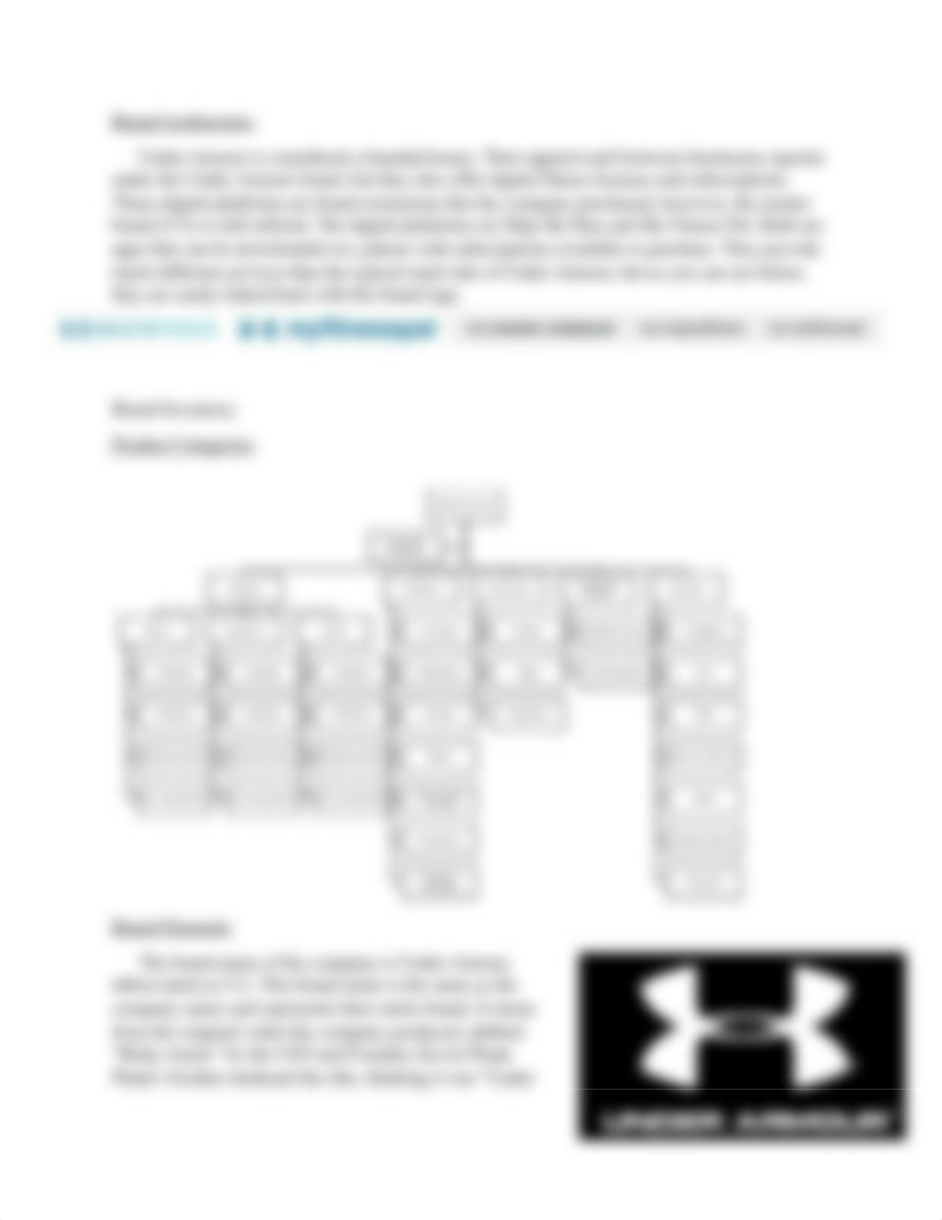 Under Armour Brand Audit- Final.docx_dv58c4zdr55_page3