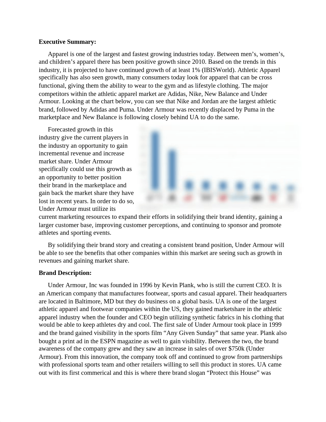 Under Armour Brand Audit- Final.docx_dv58c4zdr55_page1