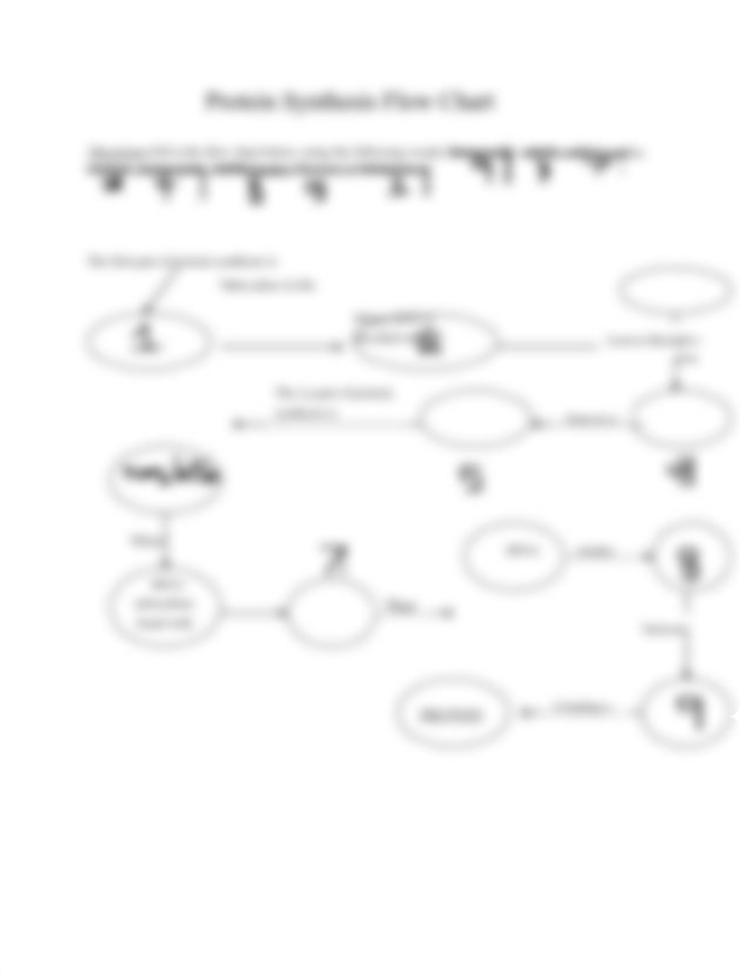 Protein Synthesis Quiz.docx_dv58d3v1bgu_page2