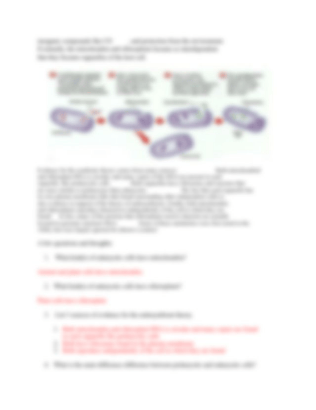 Endosymbiotic-Theory-Worksheet.doc_dv5arb5lpq0_page2