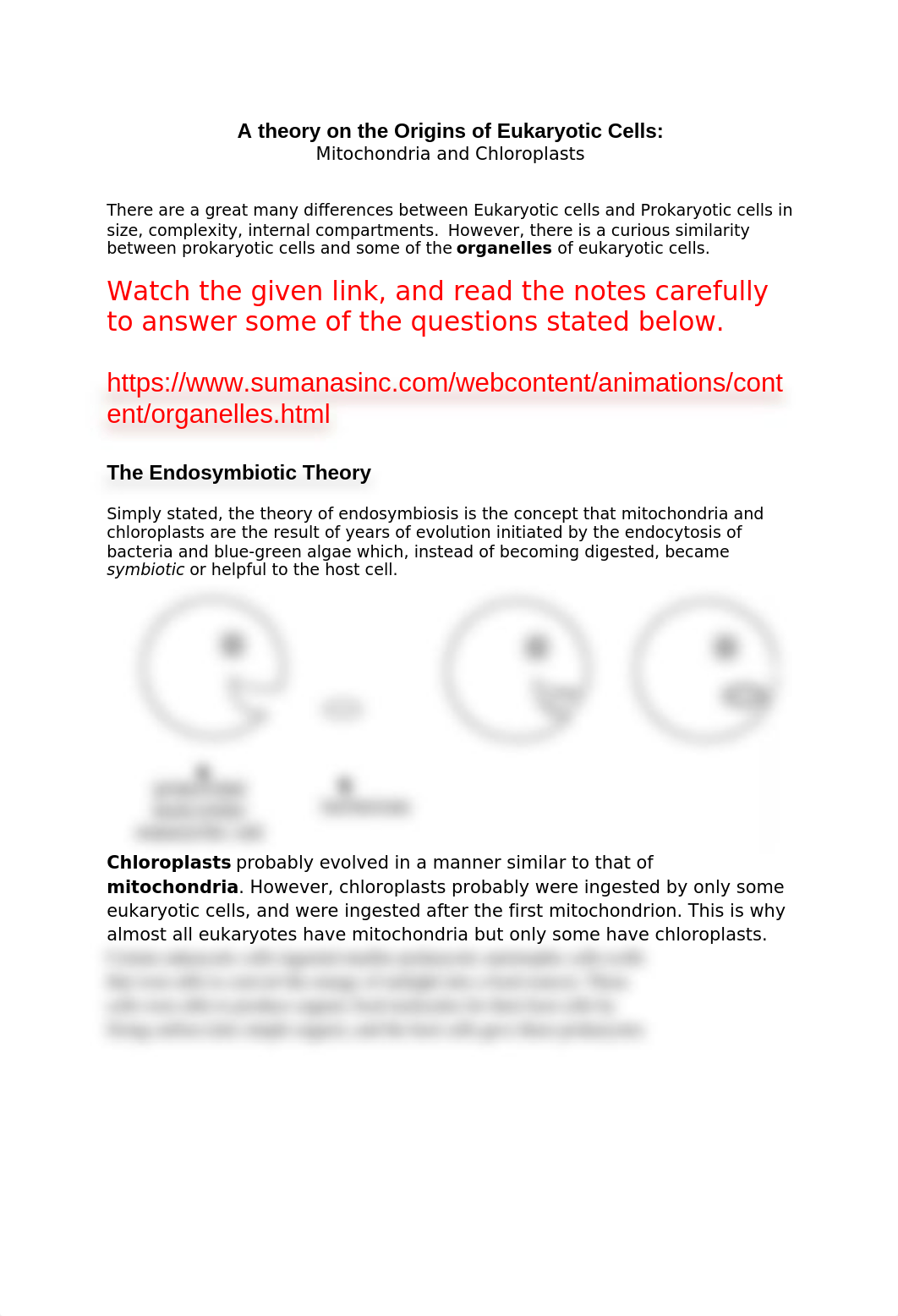 Endosymbiotic-Theory-Worksheet.doc_dv5arb5lpq0_page1