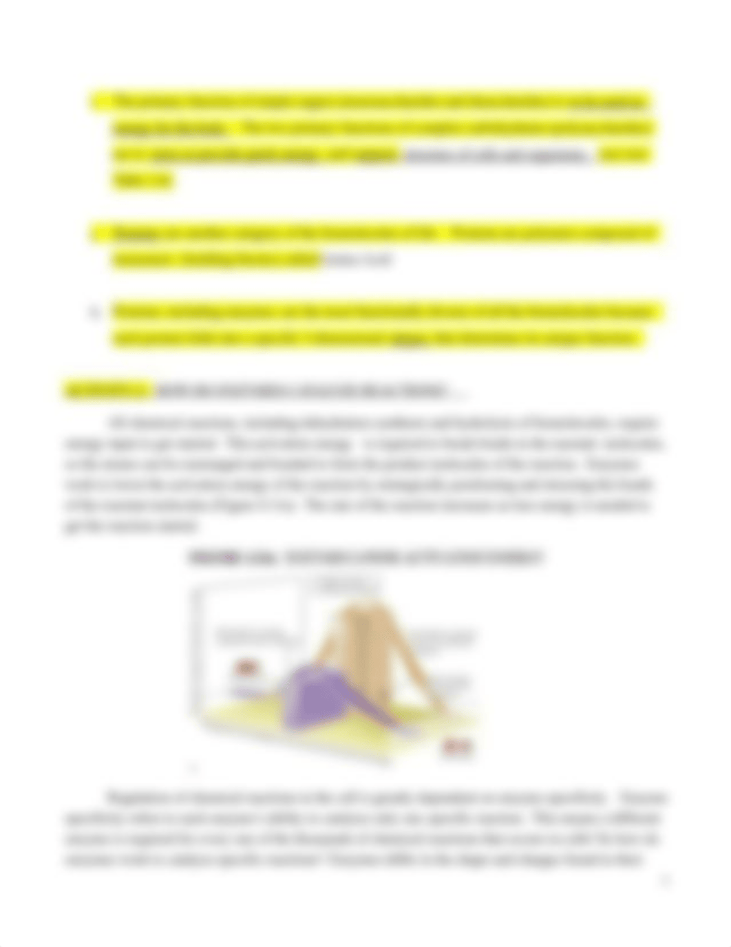 BIOL 1020 Enzymes and Carbohydrates Lab Spring 2021 (1).docx_dv5bf60czmt_page3