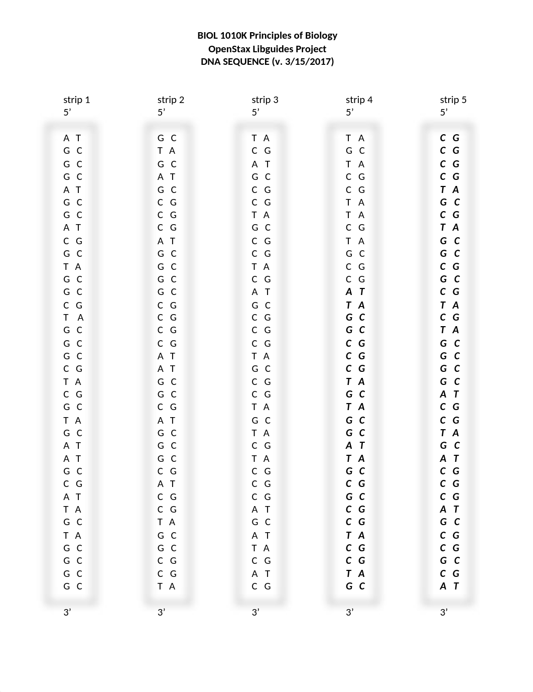 3. Project DNA SEQUENCE.doc_dv5sts26b6n_page1