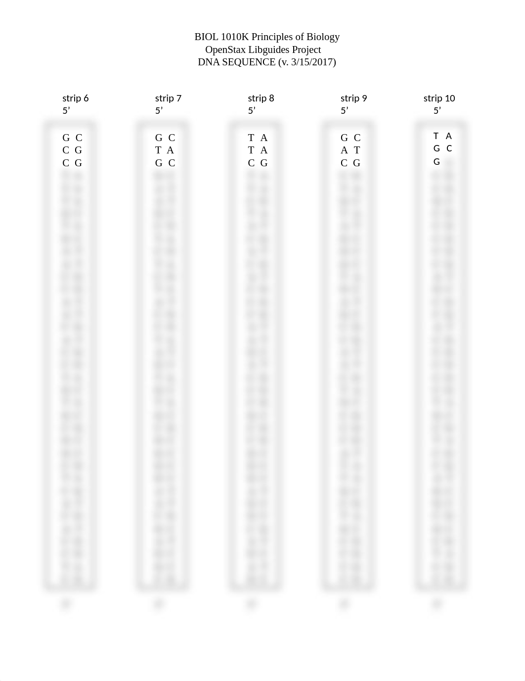 3. Project DNA SEQUENCE.doc_dv5sts26b6n_page2