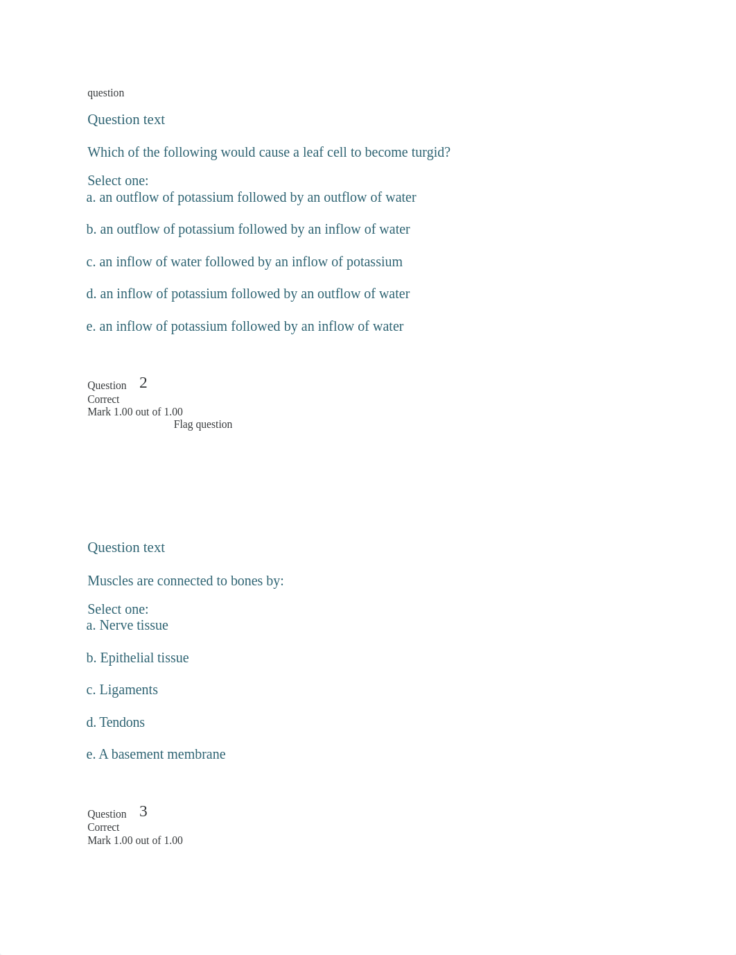 qUIZ 3.docx_dv5uzapgjs8_page1