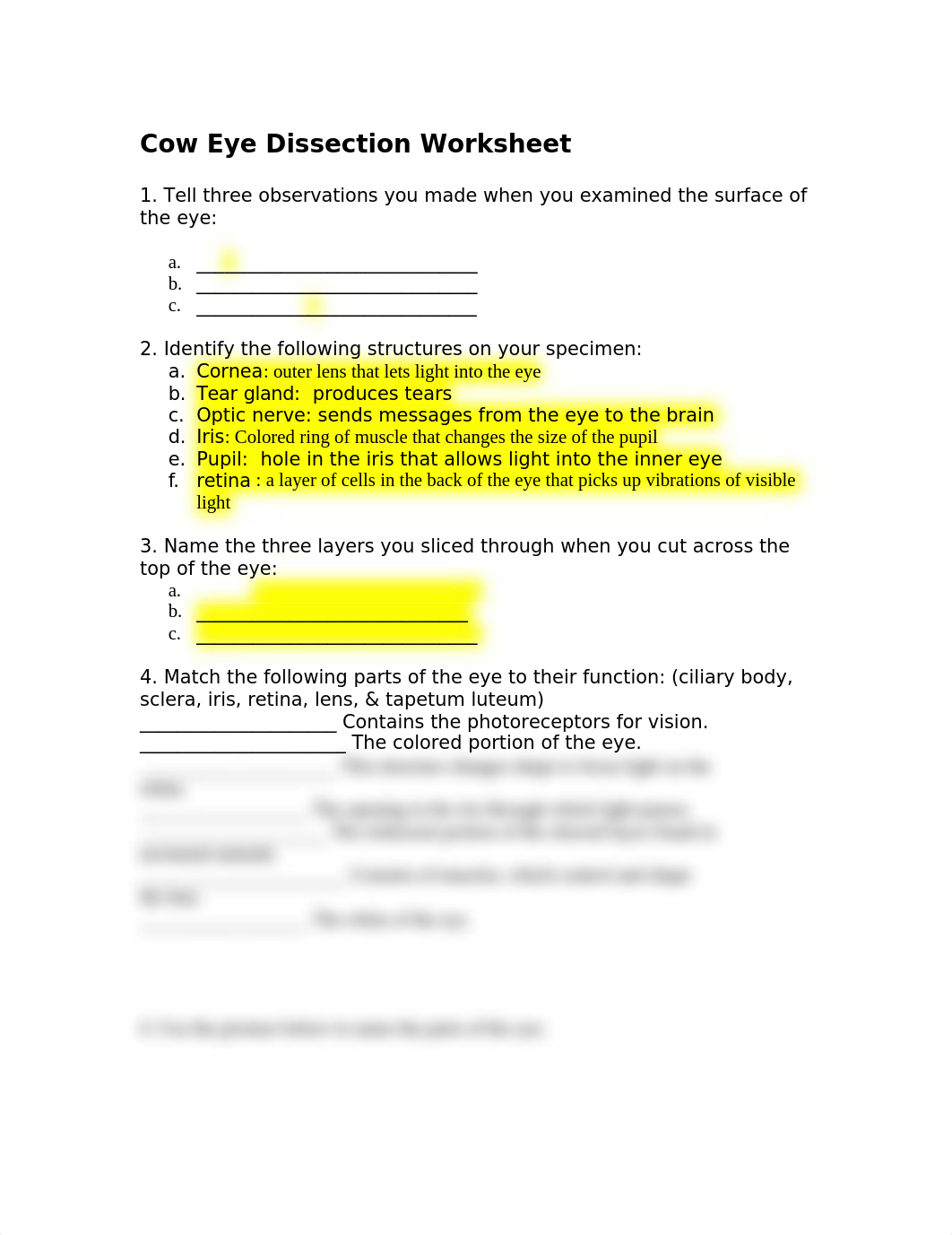 Cow-Eye-Dissection Exercise_dv5xjeaz8nv_page1