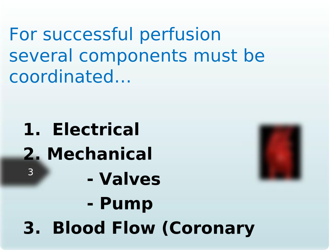 EKG's - A Basic Understanding PA college lecture (1).pptx_dv63b91peer_page3