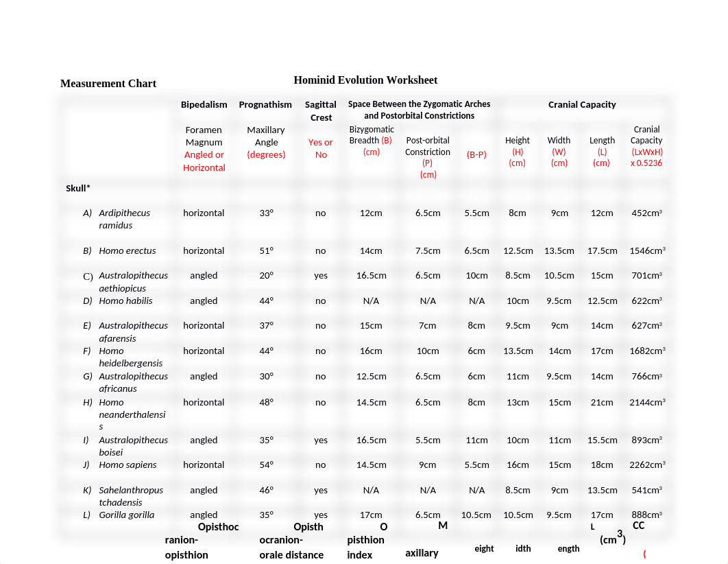 BIOL 112L Hominin Evolution Lab Worksheet.docx_dv65rj8mg8h_page1