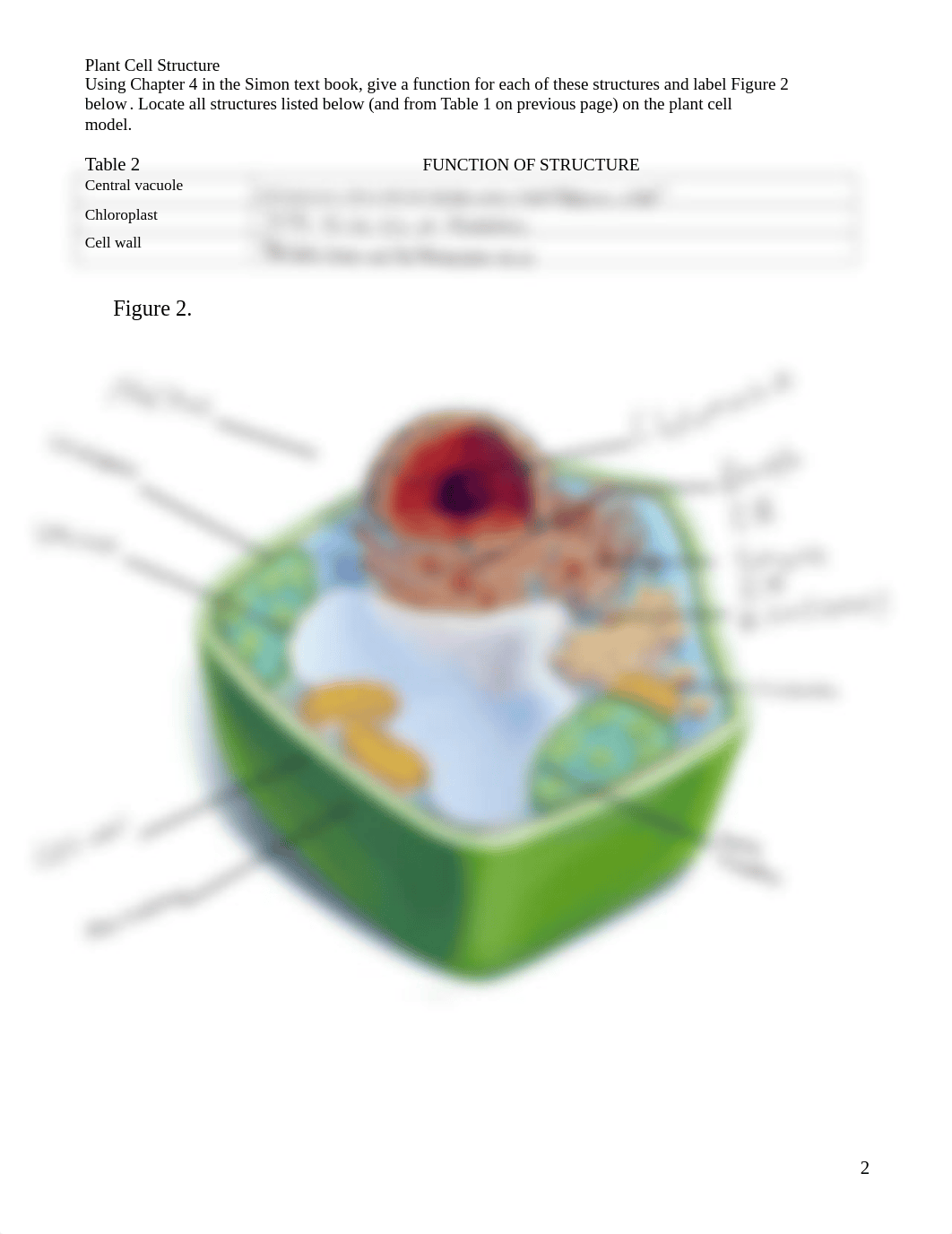 Lab 3 Biology.pdf_dv6b6o4kdtt_page2