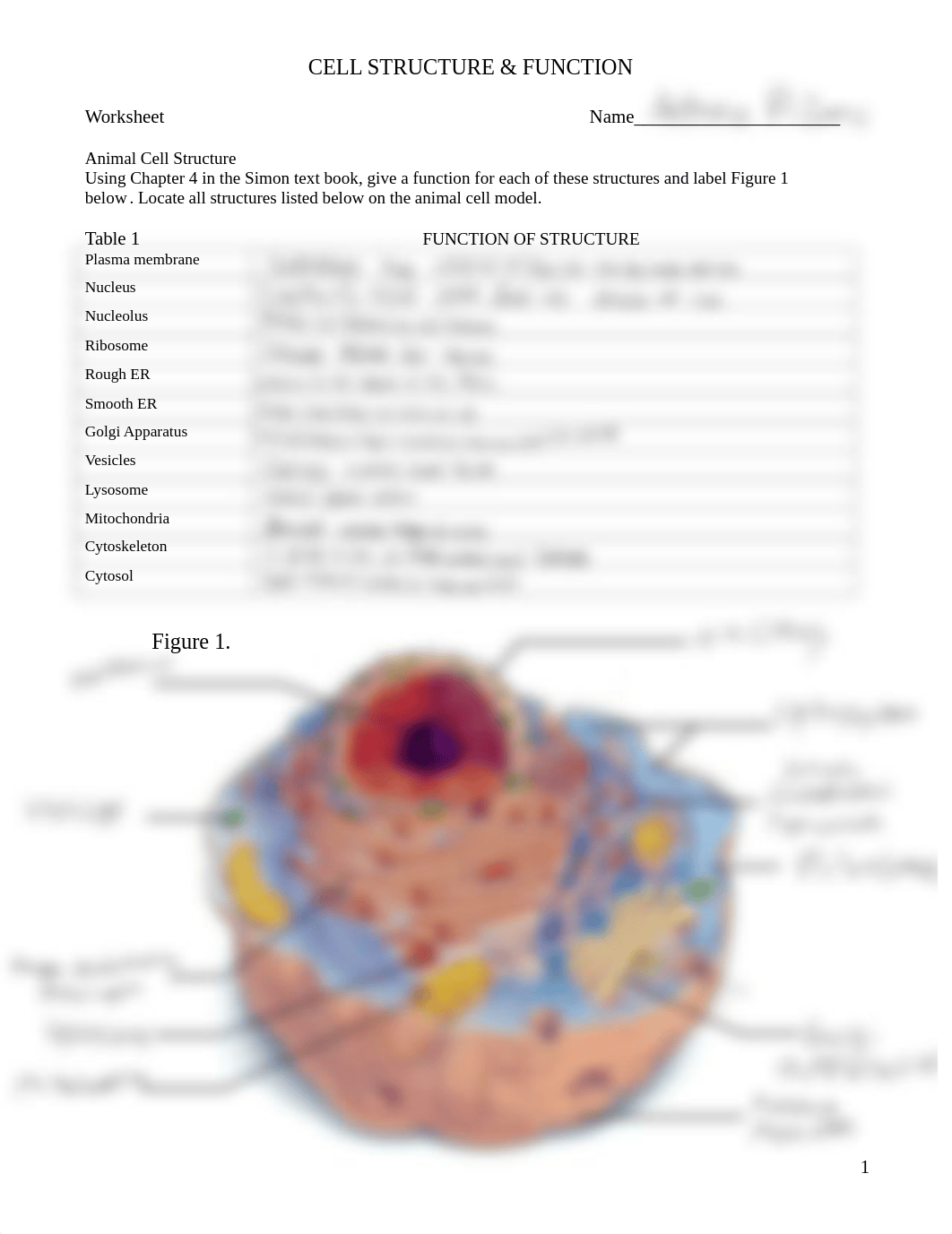 Lab 3 Biology.pdf_dv6b6o4kdtt_page1