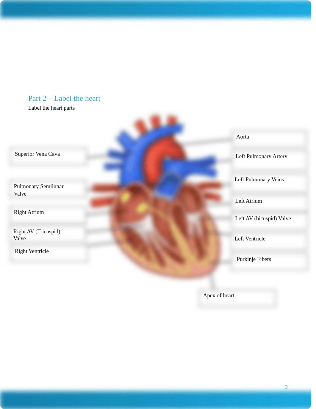 MED286_Week1_Worksheet_Wood.docx_dv6dnd6lg9o_page2