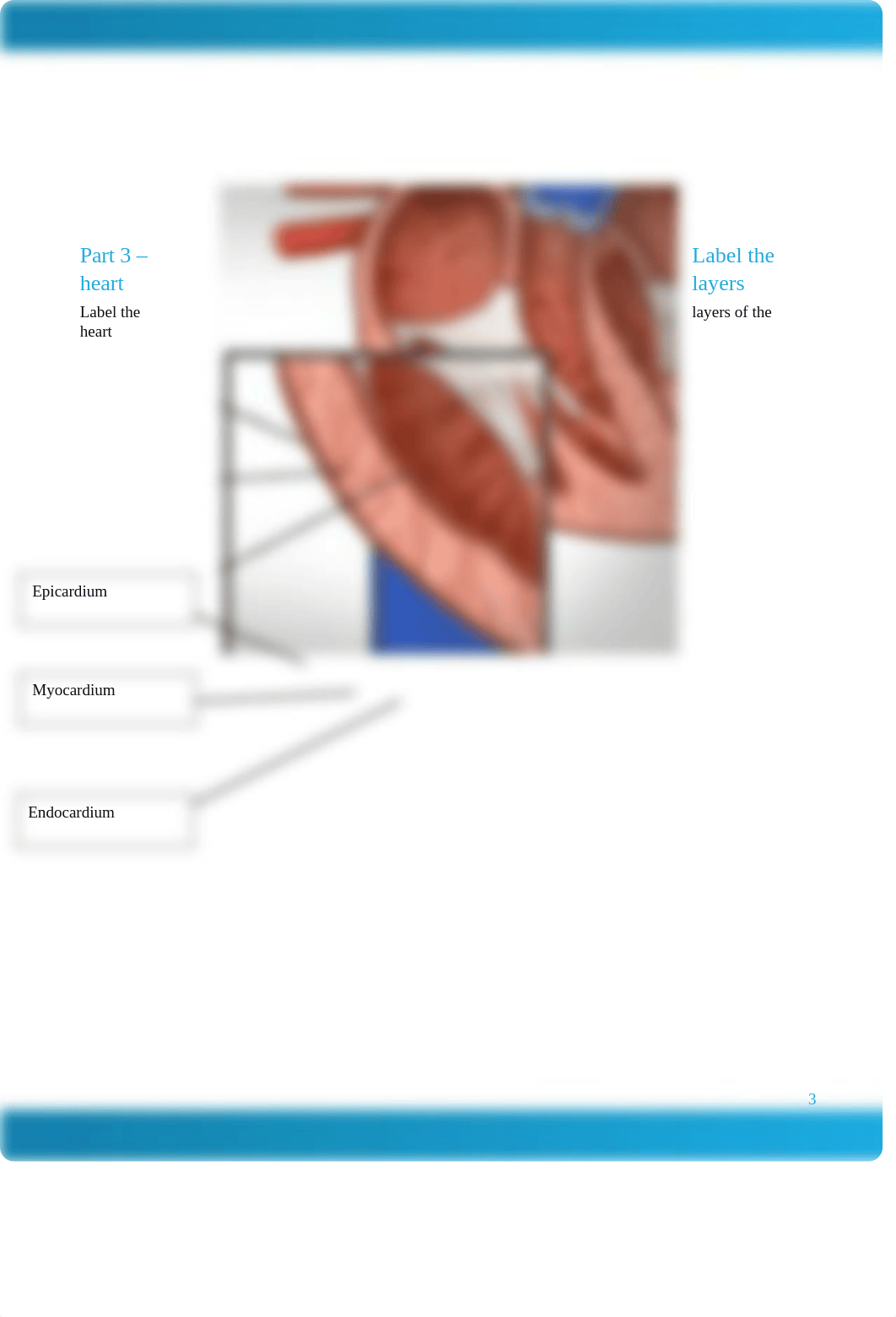 MED286_Week1_Worksheet_Wood.docx_dv6dnd6lg9o_page3