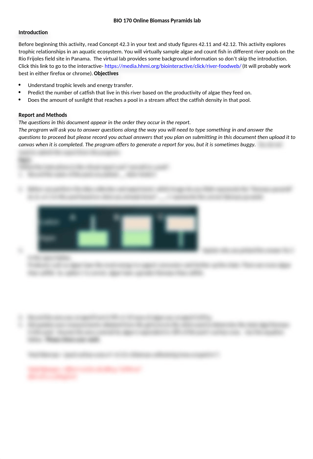 BIO 170 Online Biomass Pyramids lab.docx_dv6l1t43ik8_page1