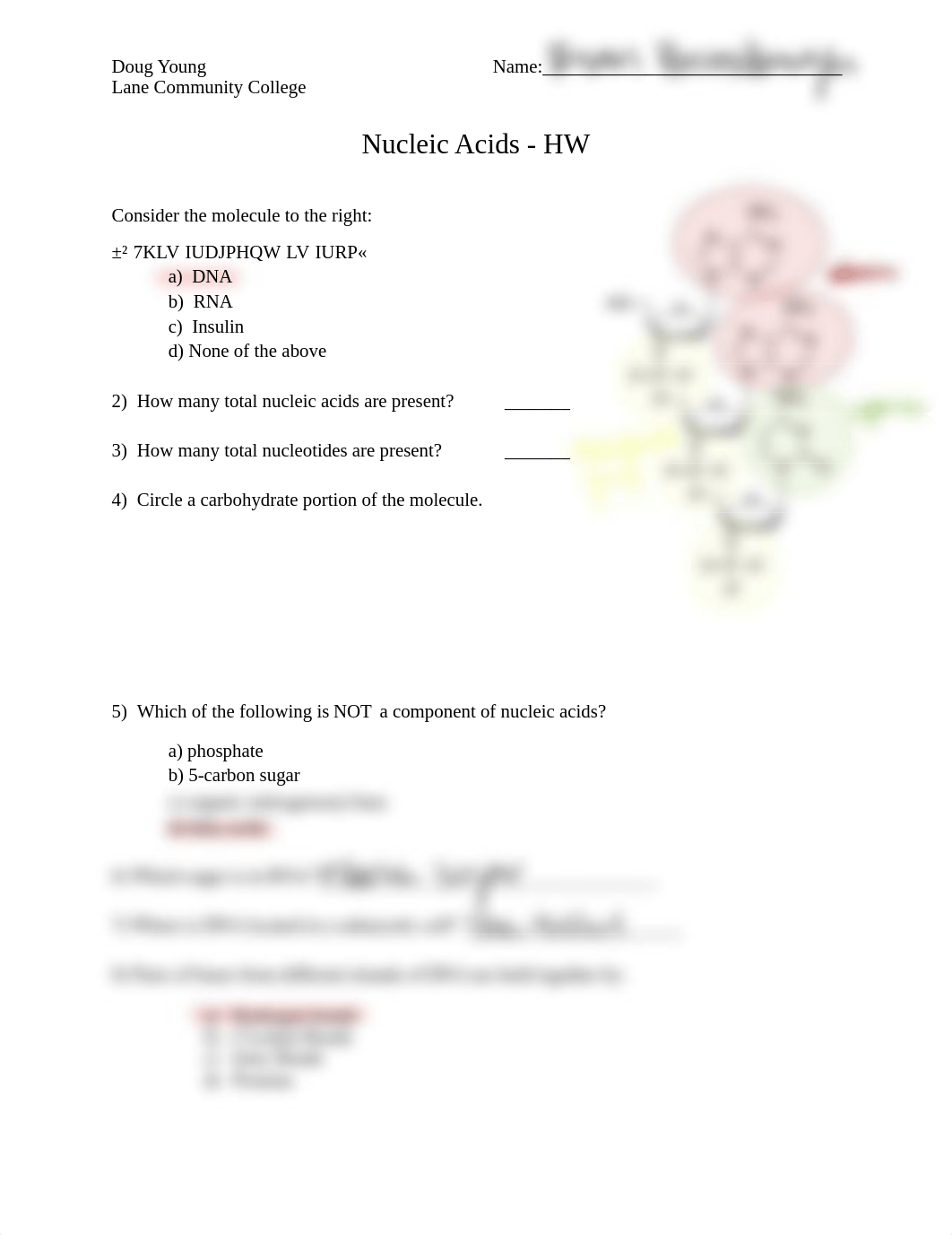 HW - Nucleic Acid 2.pdf_dv6y4urq89d_page1