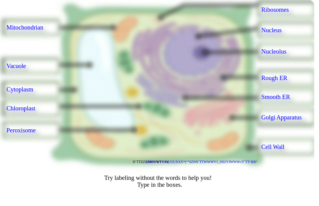 Cell Label Plant and Animal- Remote Edition.pdf_dv70etg1e6z_page3