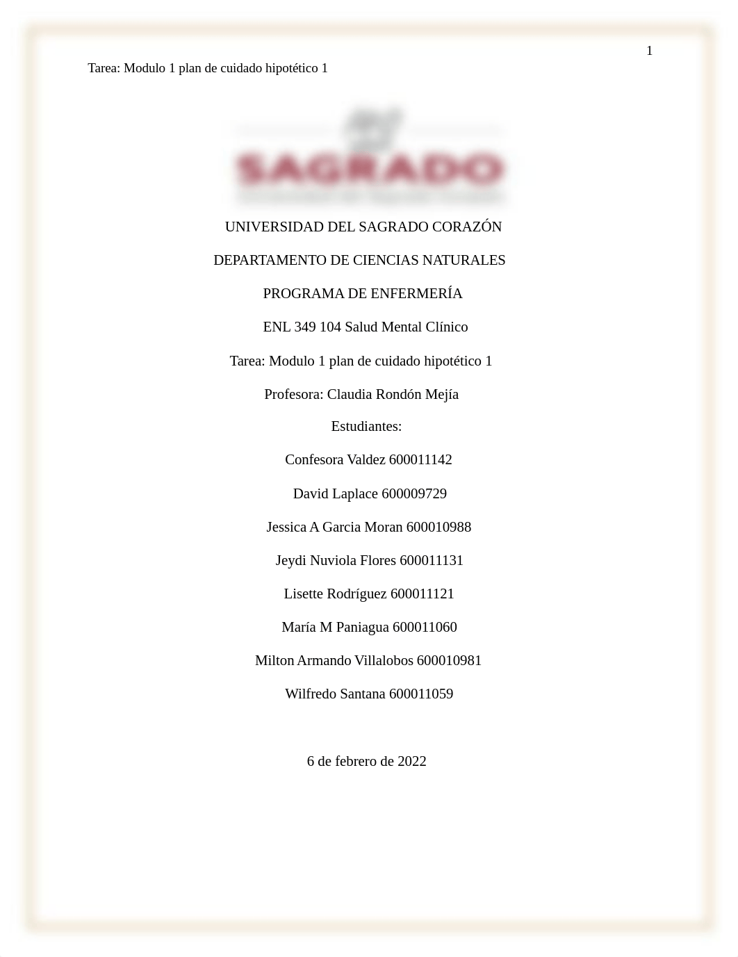 Tarea Modulo 1 plan de cuidado hipotético 1.docx_dv74af6amw4_page1