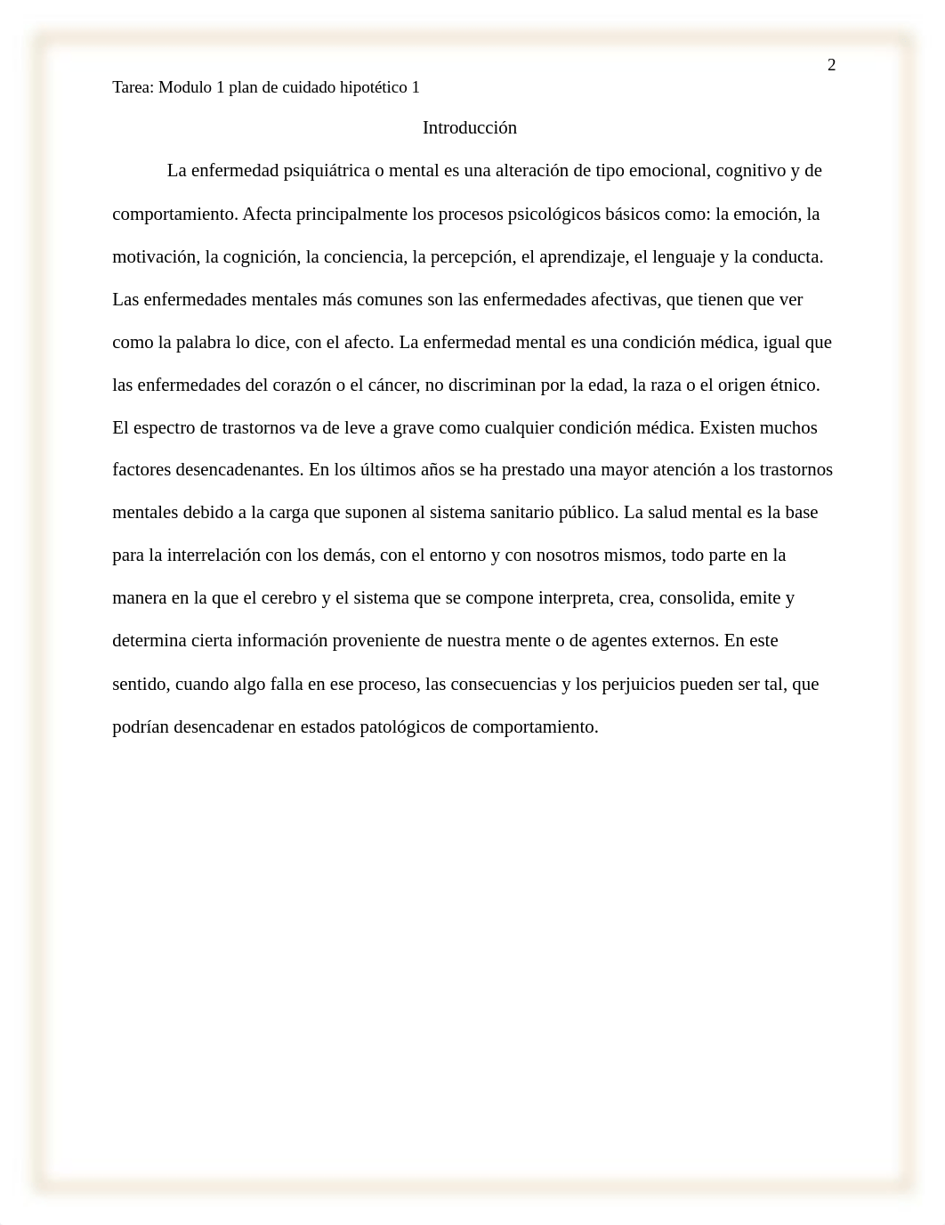 Tarea Modulo 1 plan de cuidado hipotético 1.docx_dv74af6amw4_page2