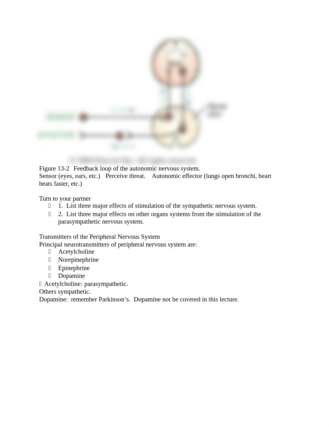 Autonomic Nervous System_dv7dc2qyihh_page4