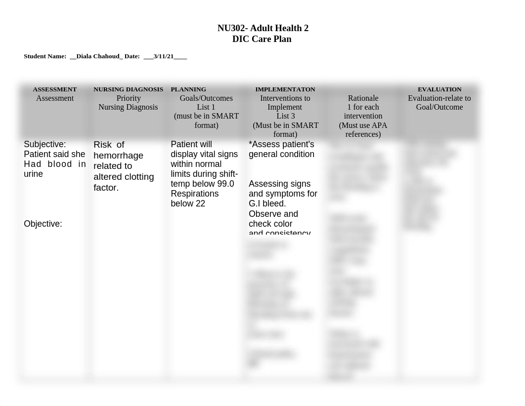 Edited_Care_Plan_Template_663521715 (1).docx_dv7l4tltwpd_page1