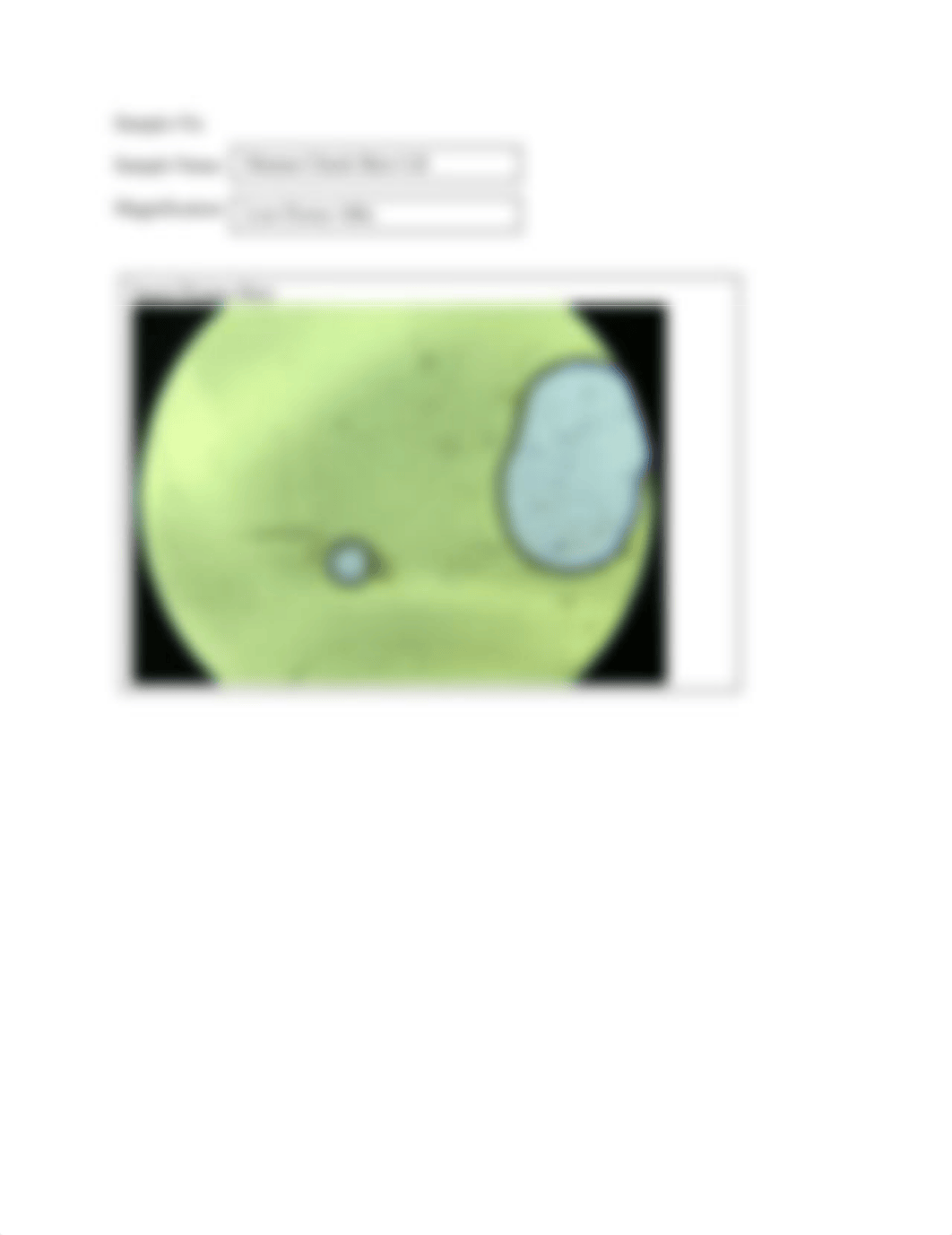 Microscopy - Example Cells.pdf_dv7m9zsiftf_page5